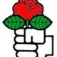 IS - Rosa